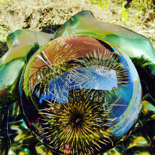 Tidsel i kugle nummer 3