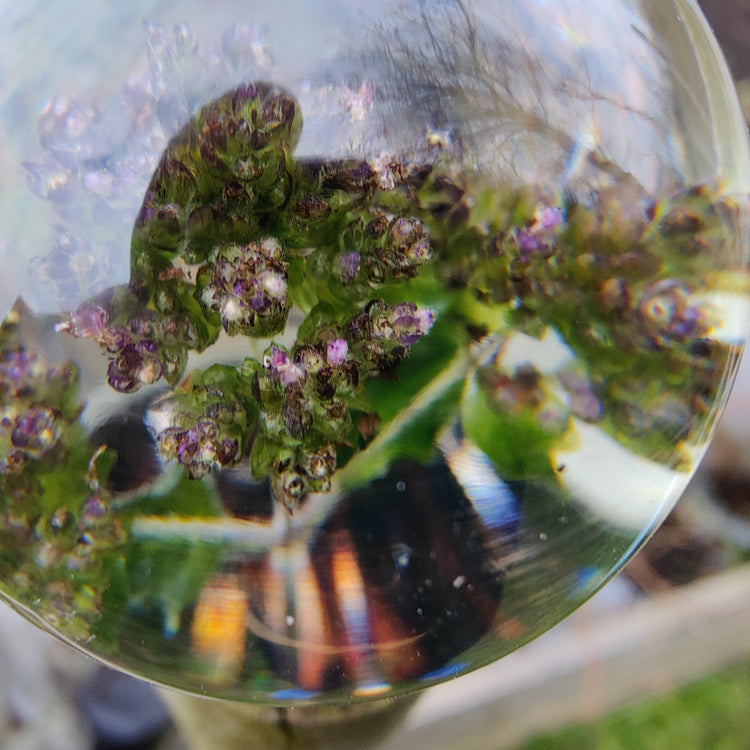 Kugle med sommerfugleblomst