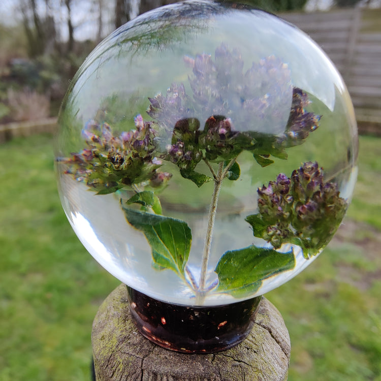 Kugle med sommerfugleblomst