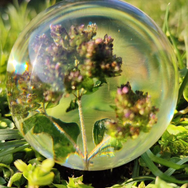 Kugle med sommerfugleblomst