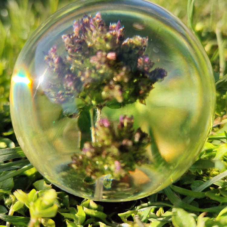 Kugle med sommerfugleblomst