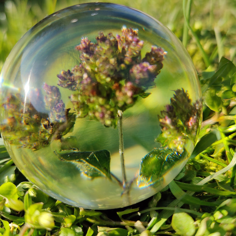 Kugle med sommerfugleblomst